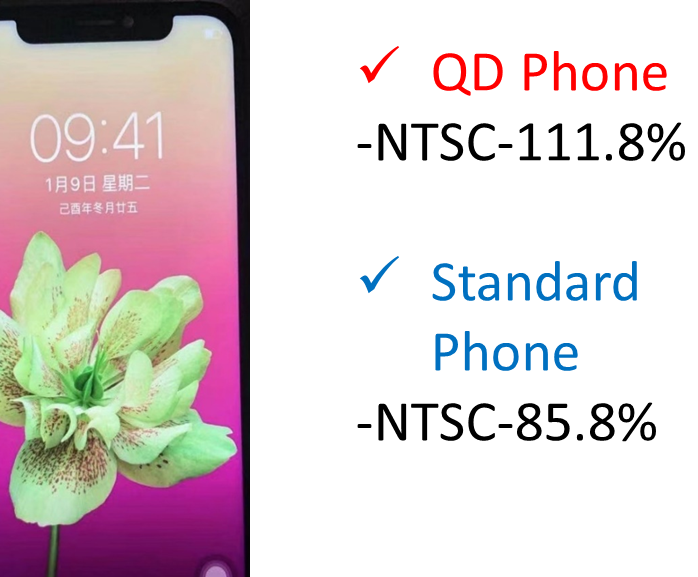 QD Film结構